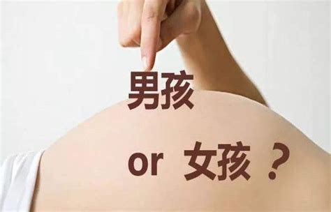 生男孩生女孩|生男孩生女孩？原来是它决定的